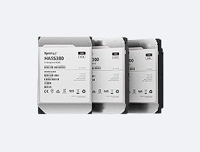 Synology surveillance HAS5300-12T supplier in Muscat, Oman